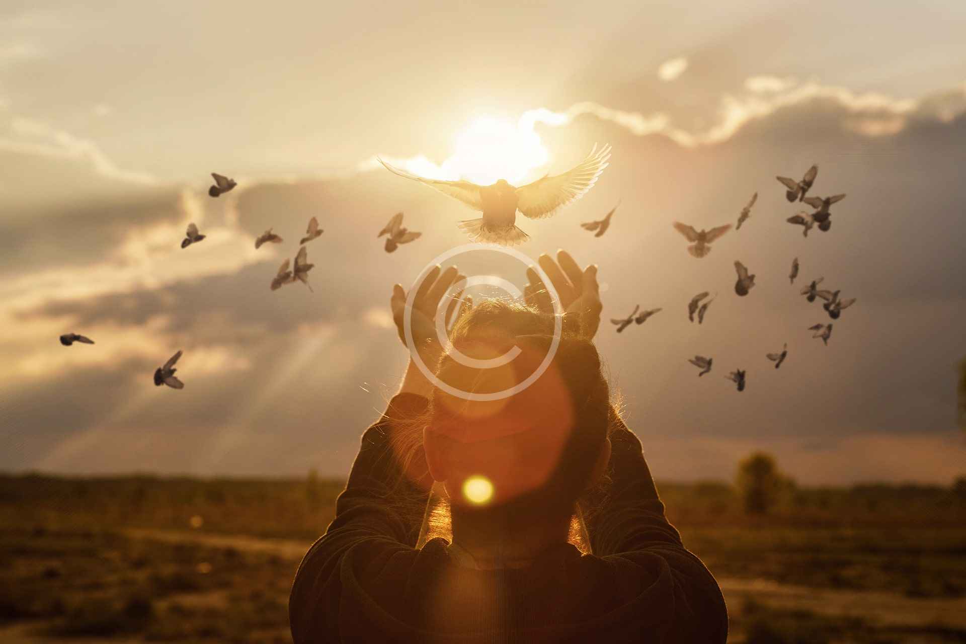 Our Mission and Vision